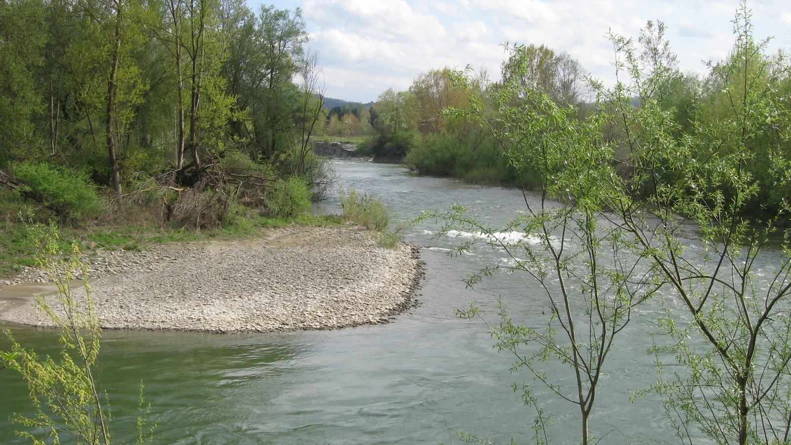 Il fiume Bormida presso Bistagno dopo la confluenza dei rami di Spigno e Millesimo