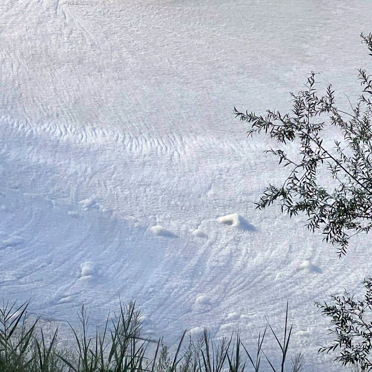 Dettaglio della schiuma sulla superficie del Fiume Calore