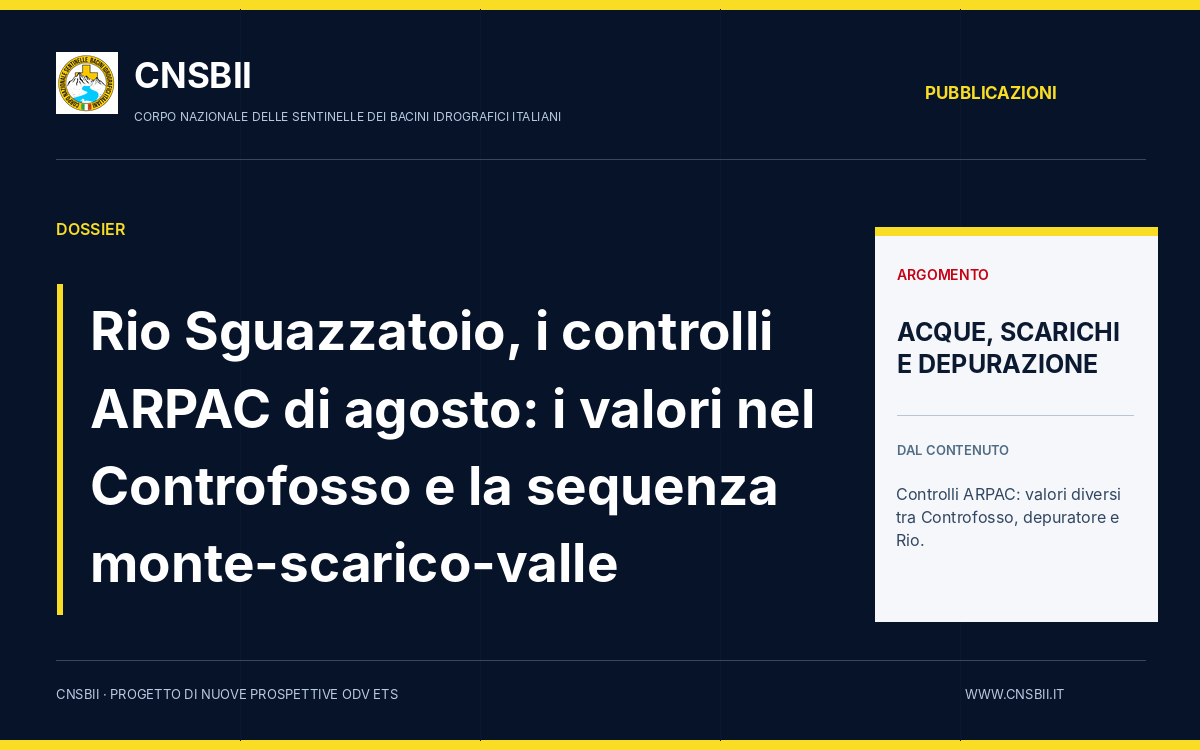 Copertina editoriale CNSBII: Rio Sguazzatoio, i controlli ARPAC di agosto: i valori nel Controfosso e la sequenza monte-scarico-valle