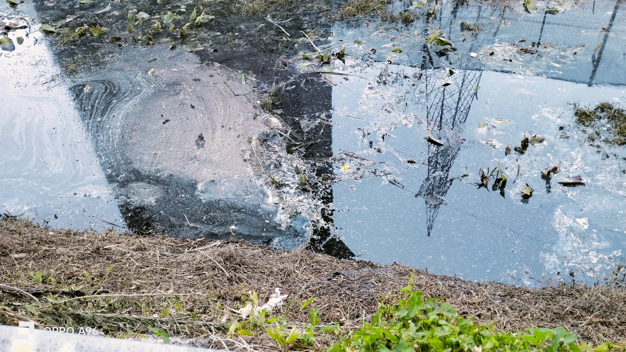Fosso Imperatore, superficie del canale con alterazioni visive e materiale galleggiante