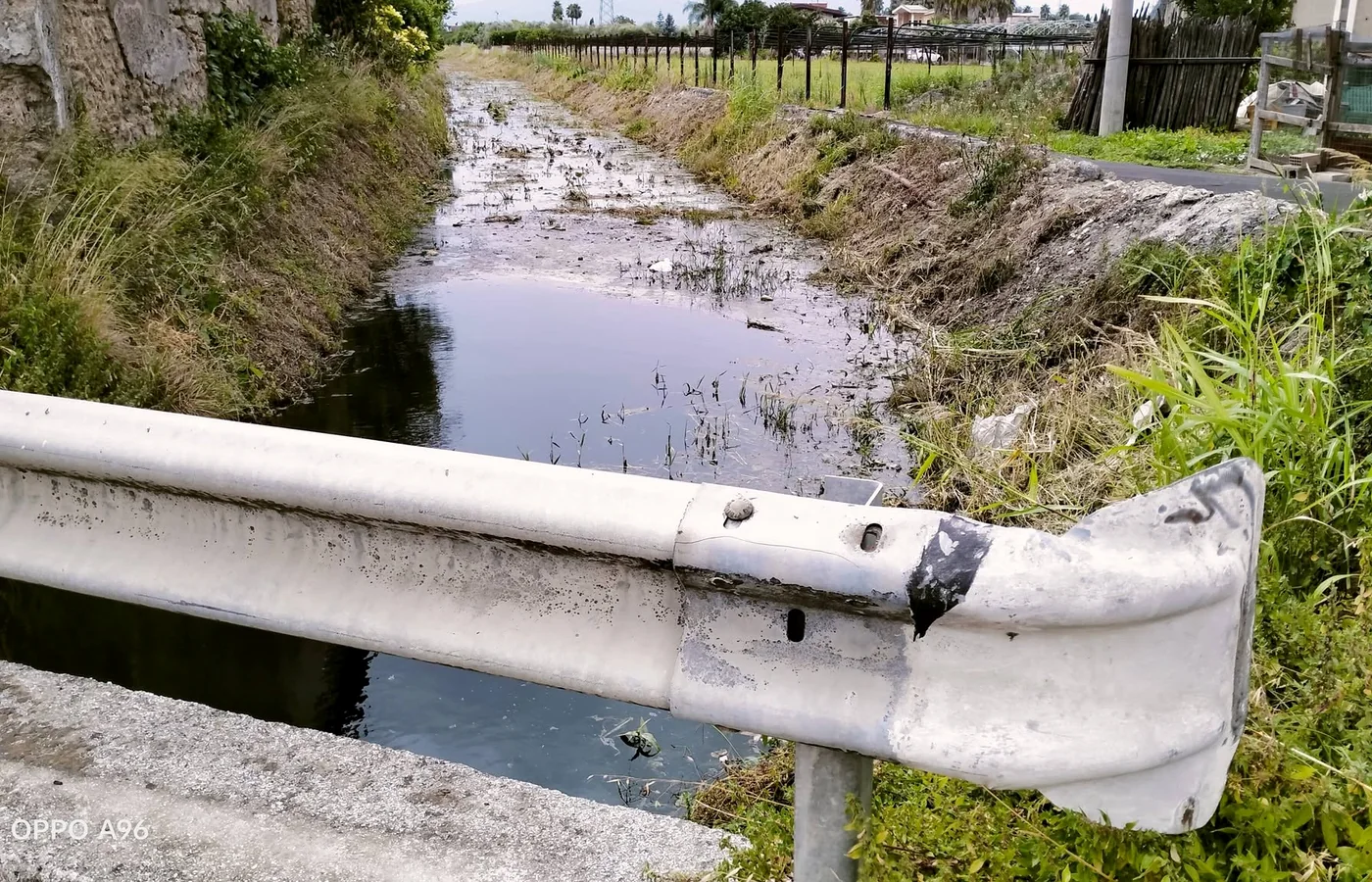 Fosso Imperatore osservato dalla strada in via Sanguette