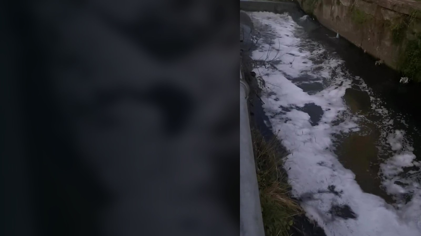 Immagine associata al dossier sul Rio Sguazzatoio