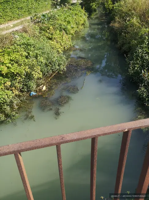Controfosso destro del fiume Sarno. Scafati · via Terze. Fotografia di Michele Buscè, archivio CNSBII.