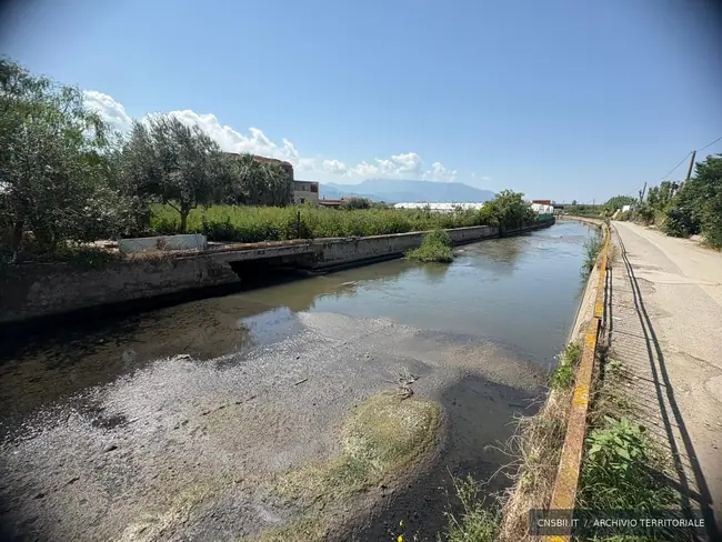 Rio Sguazzatorio, immissione dal depuratore. Angri. Fotografia di Michele Buscè, archivio CNSBII.