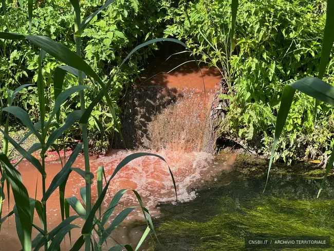 Controfosso destro, acqua rossastra. Scafati. Fotografia di Michele Buscè, archivio CNSBII.