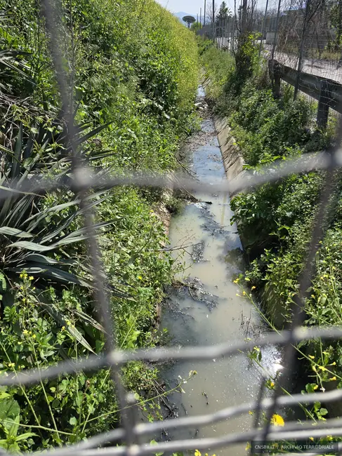 Canale di raccolta delle acque autostradali. Striano · area A30. Fotografia di Michele Buscè, archivio CNSBII.