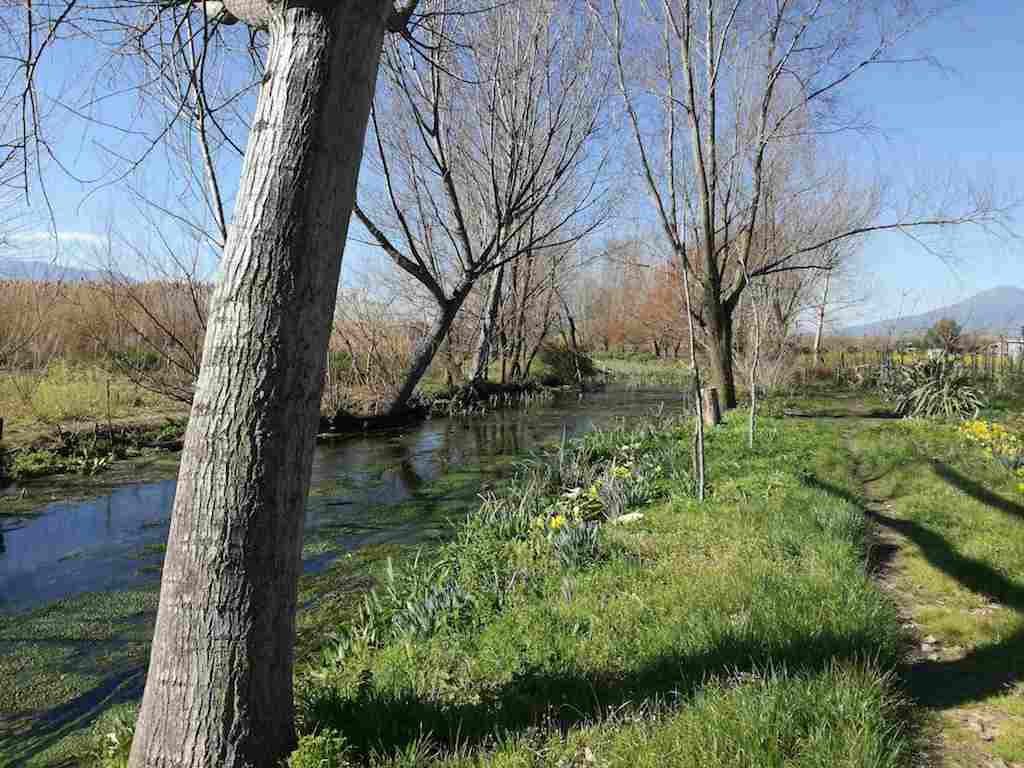 Nelle immagini Rio Santa Marina, affluente del Fiume Sarno in Sarno (AV)