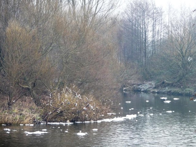 Pollution on the River Aire